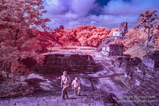 Archaeology, Architecture, Guatemala, History, Infrared, Landscape, Maya, Nature, Photography, Tikal, Travel, Wildlife