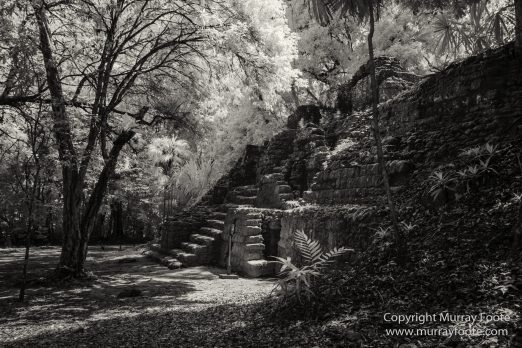 Archaeology, Architecture, Black and White, Guatemala, Infrared, Landscape, Maya, Monochrome, Nature, Photography, Tikal, Travel
