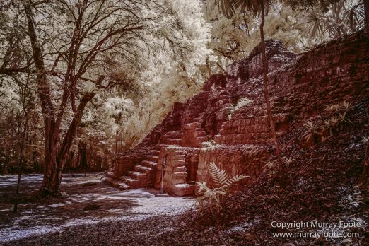 Archaeology, Architecture, Guatemala, History, Infrared, Landscape, Maya, Nature, Photography, Tikal, Travel, Wildlife