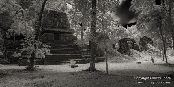 Archaeology, Architecture, Black and White, Guatemala, Infrared, Landscape, Maya, Monochrome, Nature, Photography, Tikal, Travel