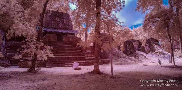 Archaeology, Architecture, Guatemala, History, Infrared, Landscape, Maya, Nature, Photography, Tikal, Travel, Wildlife