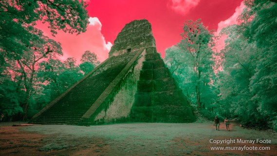 Archaeology, Architecture, Guatemala, History, Infrared, Landscape, Maya, Nature, Photography, Tikal, Travel, Wildlife