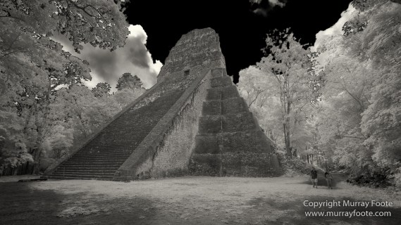Archaeology, Architecture, Black and White, Guatemala, Infrared, Landscape, Maya, Monochrome, Nature, Photography, Tikal, Travel