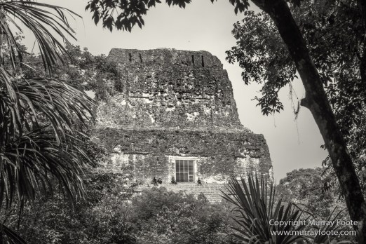 Archaeology, Architecture, Black and White, Guatemala, Infrared, Landscape, Maya, Monochrome, Nature, Photography, Tikal, Travel
