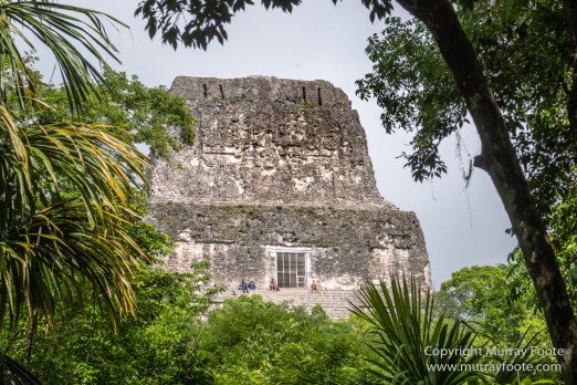 Archaeology, Architecture, Guatemala, History, Infrared, Landscape, Maya, Nature, Photography, Tikal, Travel, Wildlife