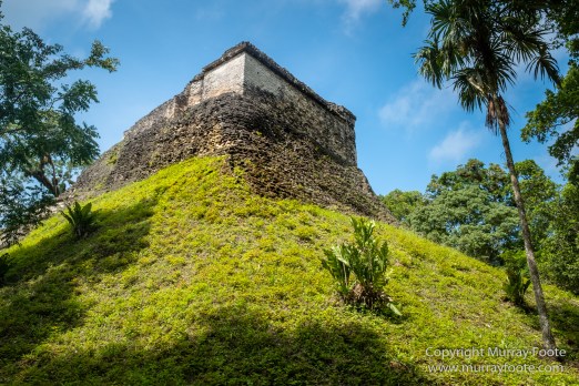 Archaeology, Architecture, Guatemala, History, Infrared, Landscape, Maya, Nature, Photography, Tikal, Travel, Wildlife
