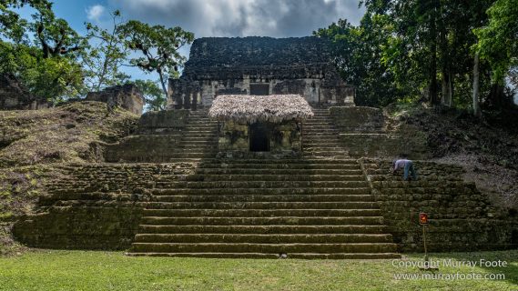 Archaeology, Architecture, Guatemala, History, Infrared, Landscape, Maya, Nature, Photography, Tikal, Travel, Wildlife