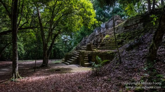 Archaeology, Architecture, Guatemala, History, Infrared, Landscape, Maya, Nature, Photography, Tikal, Travel, Wildlife