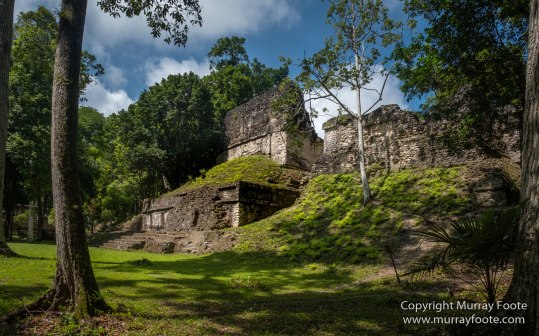 Archaeology, Architecture, Guatemala, History, Infrared, Landscape, Maya, Nature, Photography, Tikal, Travel, Wildlife