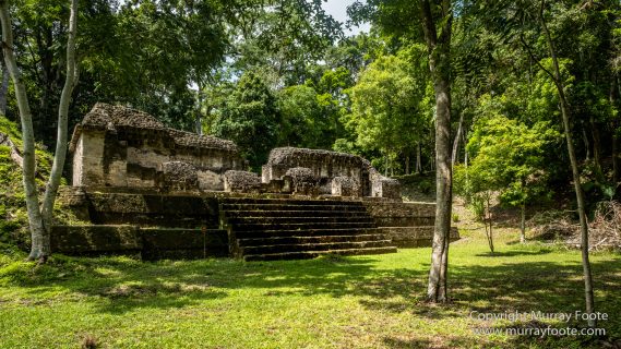 Archaeology, Architecture, Guatemala, History, Infrared, Landscape, Maya, Nature, Photography, Tikal, Travel, Wildlife