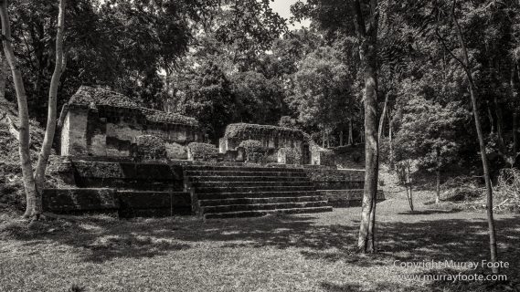 Archaeology, Architecture, Black and White, Guatemala, Infrared, Landscape, Maya, Monochrome, Nature, Photography, Tikal, Travel