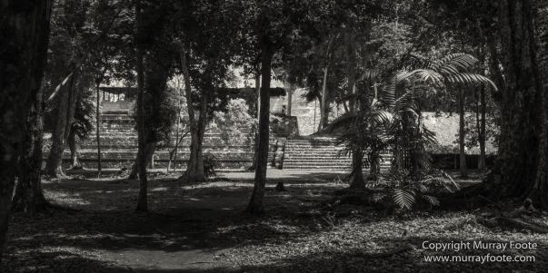 Archaeology, Architecture, Black and White, Flores, Guatemala, La Blanca, Landscape, Maya, Monochrome, Nature, Photography, Street photography, Travel, Wildlife, Yaxha