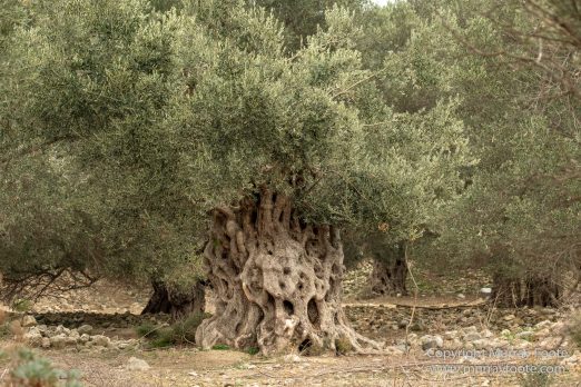 Archaeology, Architecture, Crete, Gortys, Greece, History, Landscape, Matala, Phaestos, Photography, Travel
