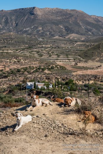 Andalusia, Archaeology, Architecture, Cabo de Gata, Cave houses, Guadix, History, La Calahorra, Landscape, Photography, seascape, Spain, Street photography, Travel