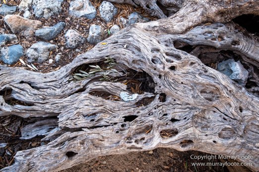 Archaeology, Architecture, Crete, Greece, History, Landscape, Photography, Sougia, Street photography, Travel