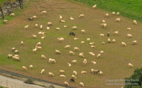 Amari Valley, Archaeology, Architecture, Crete, Frangokastello, Greece, History, Landscape, Loutro, Photography, Street photography, Travel