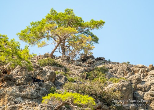 Archaeology, Architecture, Crete, Greece, History, Landscape, Photography, Sougia, Street photography, Travel