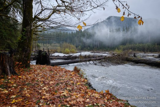 Hoh Rain Forest, La Push, Landscape, Nature, Photography, Rainforest, Rialto Beach, seascape, Travel, USA, Washington, Wilderness