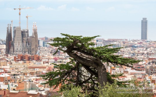 Architecture, Art, Barcelona, Gaudi, History, La Pedrera, Landscape, Live Music, Park Guell, Photography, Sagrada Familia, Spain, Street photography, Travel