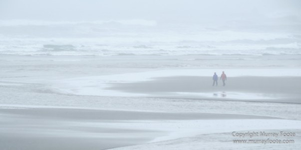 Hoh Rain Forest, La Push, Landscape, Nature, Photography, Rainforest, Rialto Beach, seascape, Travel, USA, Washington, Wilderness