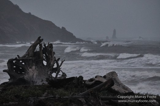 Hoh Rain Forest, La Push, Landscape, Nature, Photography, Rainforest, Rialto Beach, seascape, Travel, USA, Washington, Wilderness