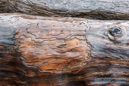 La Push, Landscape, Macro, Nature, Photography, seascape, Second Beach, Travel, USA, Washington, Wilderness, Wildlife