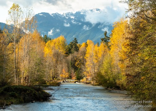 La Push, Landscape, Mt Walker Viewpoint, Nature, Photography, seascape, Travel, USA, Washington, Wilderness, Wildlife