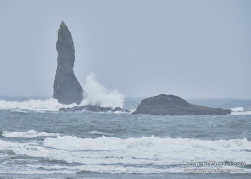 La Push, Landscape, Macro, Nature, Photography, seascape, Second Beach, Travel, USA, Washington, Wilderness, Wildlife