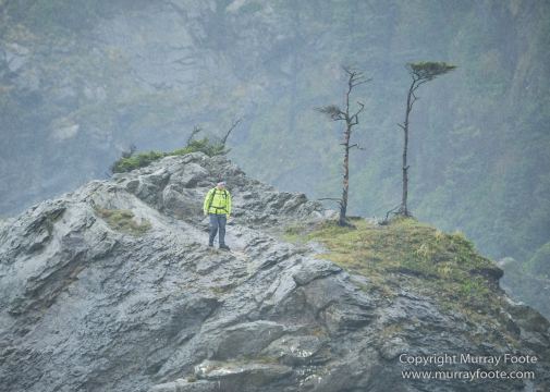 La Push, Landscape, Macro, Nature, Photography, seascape, Second Beach, Travel, USA, Washington, Wilderness, Wildlife