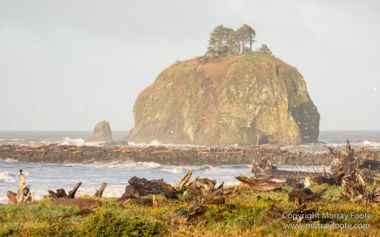 La Push, Landscape, Mt Walker Viewpoint, Nature, Photography, seascape, Travel, USA, Washington, Wilderness, Wildlife