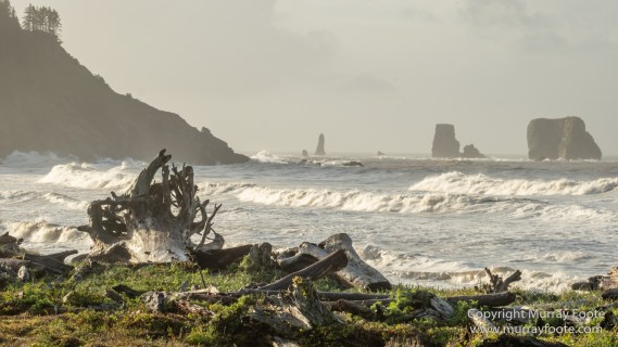 La Push, Landscape, Mt Walker Viewpoint, Nature, Photography, seascape, Travel, USA, Washington, Wilderness, Wildlife