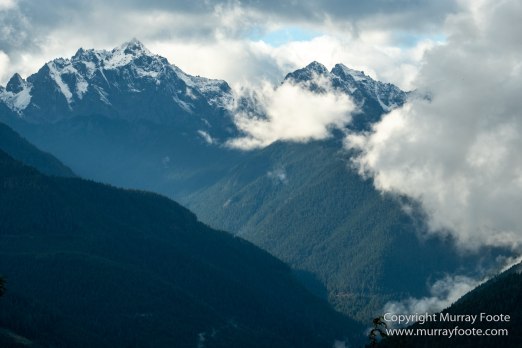 La Push, Landscape, Mt Walker Viewpoint, Nature, Photography, seascape, Travel, USA, Washington, Wilderness, Wildlife