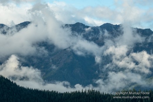 La Push, Landscape, Mt Walker Viewpoint, Nature, Photography, seascape, Travel, USA, Washington, Wilderness, Wildlife