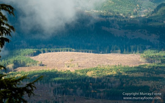 La Push, Landscape, Mt Walker Viewpoint, Nature, Photography, seascape, Travel, USA, Washington, Wilderness, Wildlife