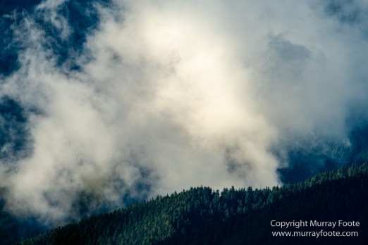 La Push, Landscape, Mt Walker Viewpoint, Nature, Photography, seascape, Travel, USA, Washington, Wilderness, Wildlife