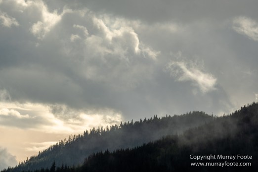 La Push, Landscape, Mt Walker Viewpoint, Nature, Photography, seascape, Travel, USA, Washington, Wilderness, Wildlife