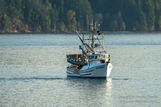 La Push, Landscape, Mt Walker Viewpoint, Nature, Photography, seascape, Travel, USA, Washington, Wilderness, Wildlife