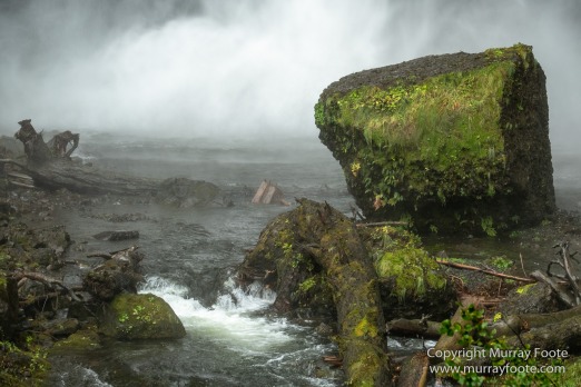 Landscape, Nature, Oregon, Photography, Rainforest, seascape, Travel, USA, Waterfall, Wilderness