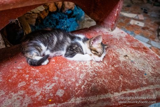 Afro-Cuban Art, Architecture, Art, Callejón de Hamel, Cuba, Havana, Photography, Street photography, Travel