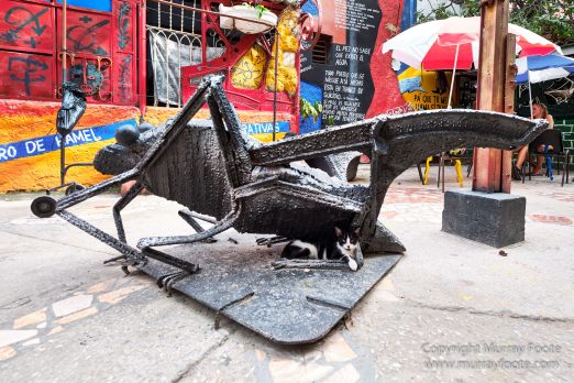 Afro-Cuban Art, Architecture, Art, Callejón de Hamel, Cuba, Havana, Photography, Street photography, Travel