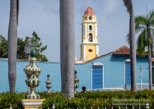Art, Cars, Cuba, Horses, Live Music, Photography, Street photography, Travel, Trinidad de Cuba, Wildlife