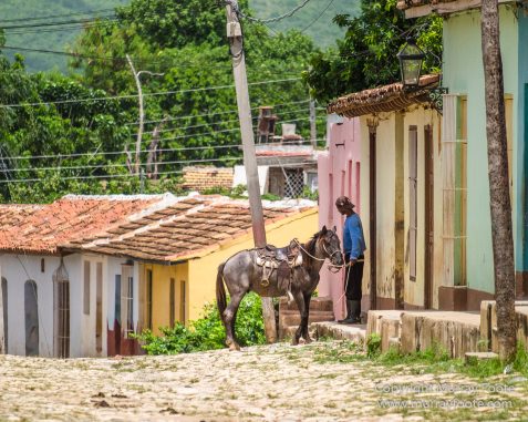 Art, Cars, Cuba, Horses, Live Music, Photography, Street photography, Travel, Trinidad de Cuba, Wildlife