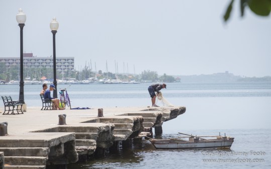 Architecture, Cars, Cienfuegos, Cuba, Horses, Live Music, Photography, Street photography, Travel