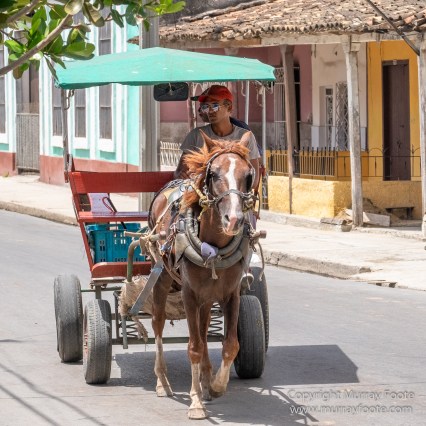 Architecture, Cars, Cienfuegos, Cuba, Horses, Live Music, Photography, Street photography, Travel