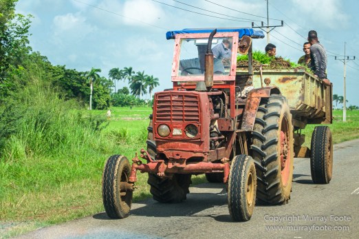 Architecture, Cars, Cienfuegos, Cuba, Havana, Horses, Live Music, Photography, Street photography, Travel
