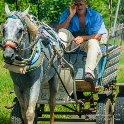 Architecture, Cars, Cienfuegos, Cuba, Havana, Horses, Live Music, Photography, Street photography, Travel
