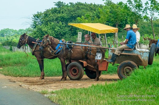 Architecture, Cars, Cienfuegos, Cuba, Havana, Horses, Live Music, Photography, Street photography, Travel