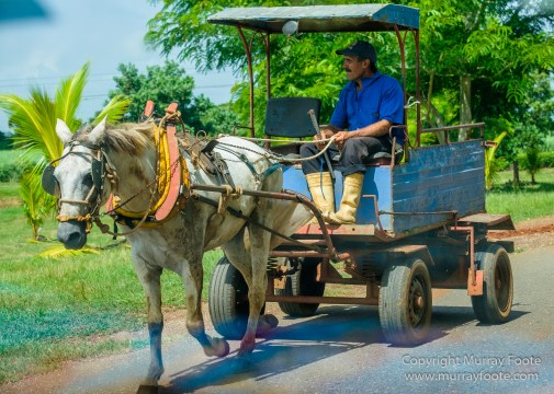 Architecture, Cars, Cienfuegos, Cuba, Havana, Horses, Live Music, Photography, Street photography, Travel