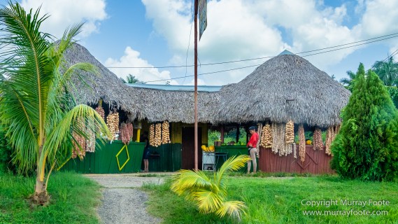 Architecture, Cars, Cienfuegos, Cuba, Havana, Horses, Live Music, Photography, Street photography, Travel
