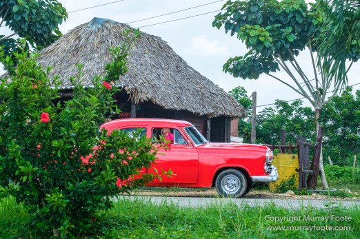 Architecture, Cars, Cienfuegos, Cuba, Havana, Horses, Live Music, Photography, Street photography, Travel